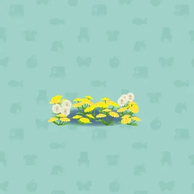 タンポポのはなばたけAの画像