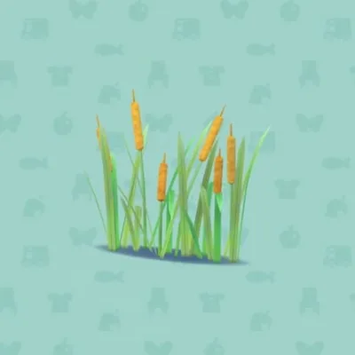 ガマのほの画像