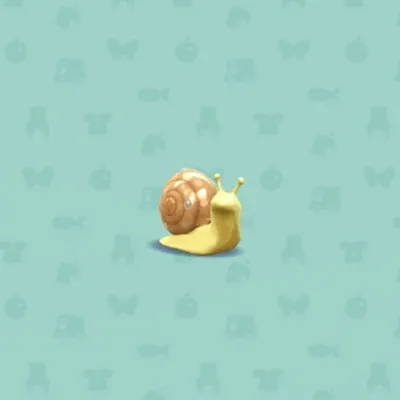 カタツムリのおきものの画像