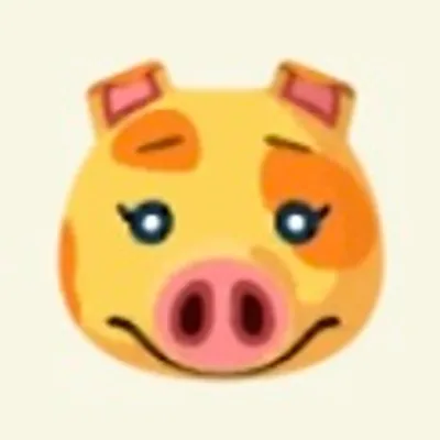 マーガレットの画像