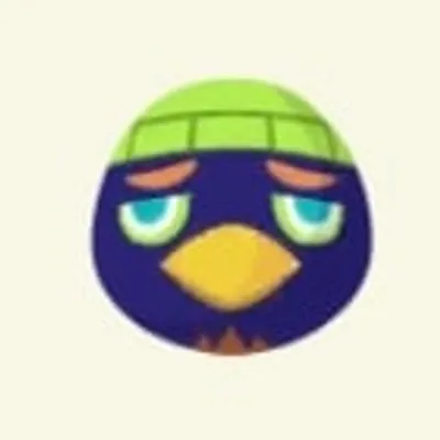 ジョッキーの画像