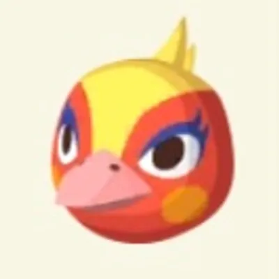 ヒノコの画像