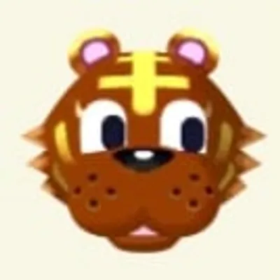 ルーズの画像