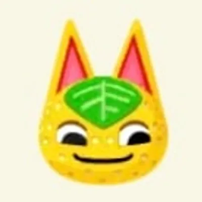 ヒャクパーの画像