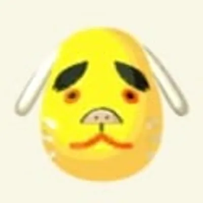 ハチの画像