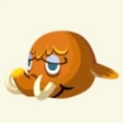 はじめの画像