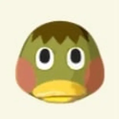 まりもの画像