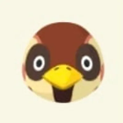 ちゅんのすけの画像