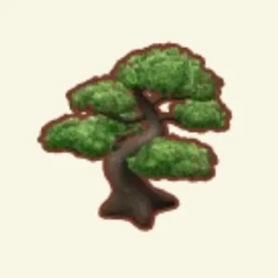 ひのでのおてらのまつのきの画像