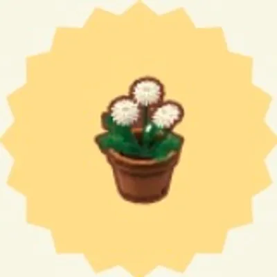 しろいタンポポの画像