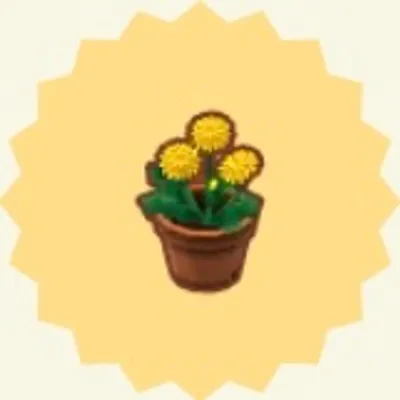 きいろいタンポポの画像