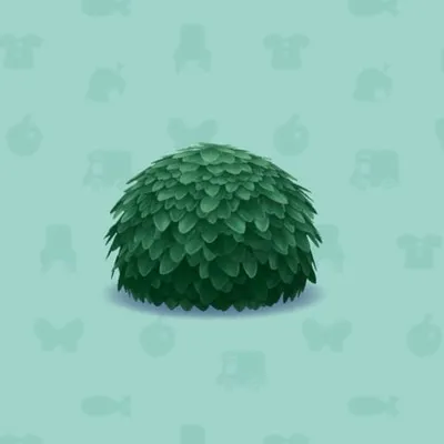 たけばやしのていぼくの画像