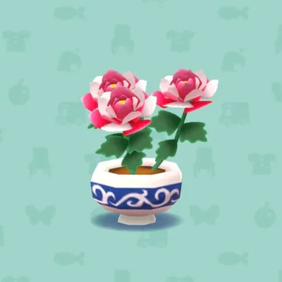 こうはくのぼたん（家具）の画像