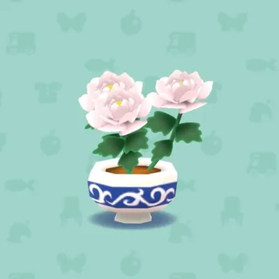 しろいぼたん（家具）の画像