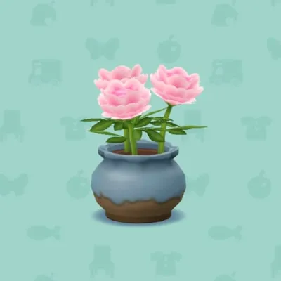 ももいろのシャクヤク（家具）の画像