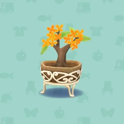 オレンジのキンモクセイの画像