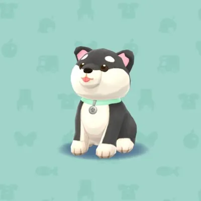 くろいイヌのぬいぐるみの画像