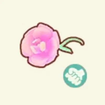 てもちパステルフラワーの画像