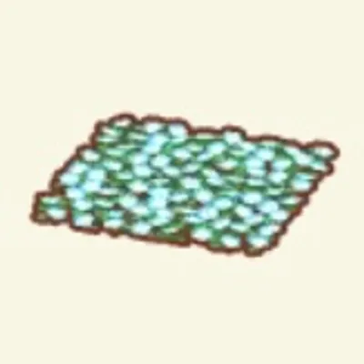 ネモフィラのはなばたけBの画像