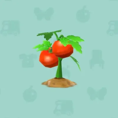 こだわりのトマト（家具）の画像