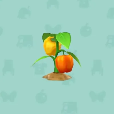こだわりのパプリカ（家具）の画像