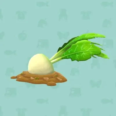 やさいばたけのおおきなカブの画像