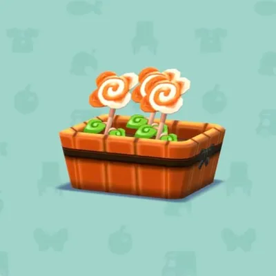 オレンジロリポップフラワーの画像