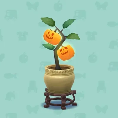 だいだいのひかるミニパンプキンの画像