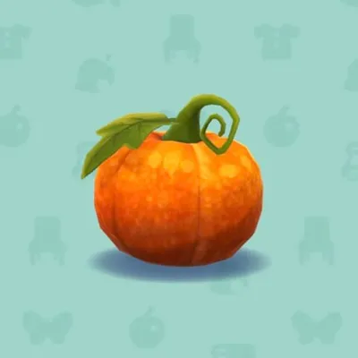 オレンジのハロウィンかぼちゃの画像