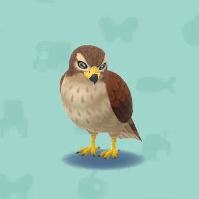 てのりのタカの画像