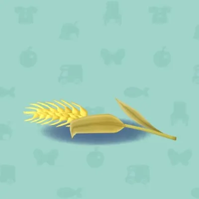 てもちのむぎの画像