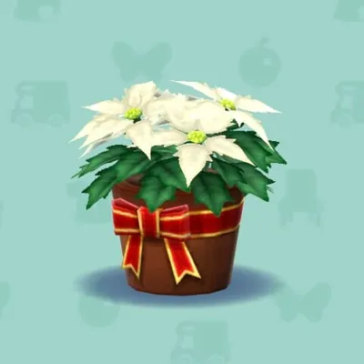 しろいポインセチア（家具）の画像