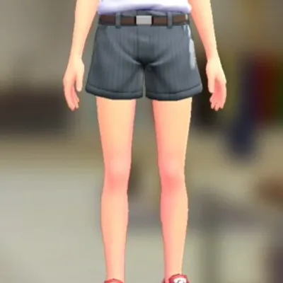 ショートパンツセット - ブルーグレー ダークブラウンの画像