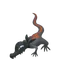 ヤトウモリ
