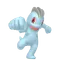ワンリキー