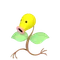 マダツボミ
