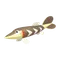 サシカマス
