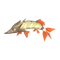 カマスジョー