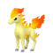 ポニータ