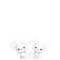 ワッカネズミ