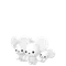 イッカネズミ