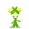 オリーニョ