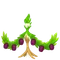 オリーヴァ