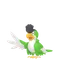 イキリンコ(グリーンフェザー)