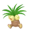 ナッシー