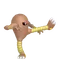 サワムラー