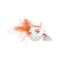 トサキント