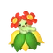 キレイハナ