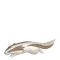 マッスグマ