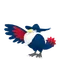 ドンカラス